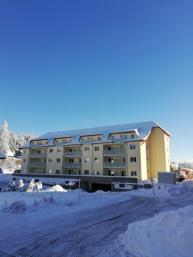 Residenz-Grafenmatt-Feldberg-Schwarzwald Apartment Фелдберг Екстериор снимка